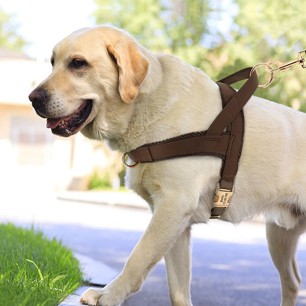 Personalized Large Dog Harness Adjustable Engraved Mesh Leather Pet Harness Vest