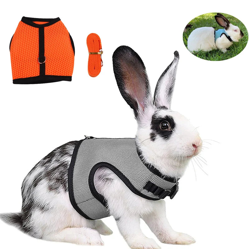 Mesh Breathable Rabbit Harness and Leash Set for Rabbits