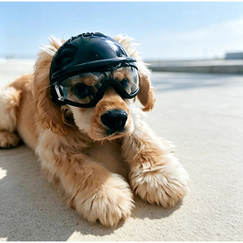 Pet Helmets Windproof Transparent Glasses Sunglasses