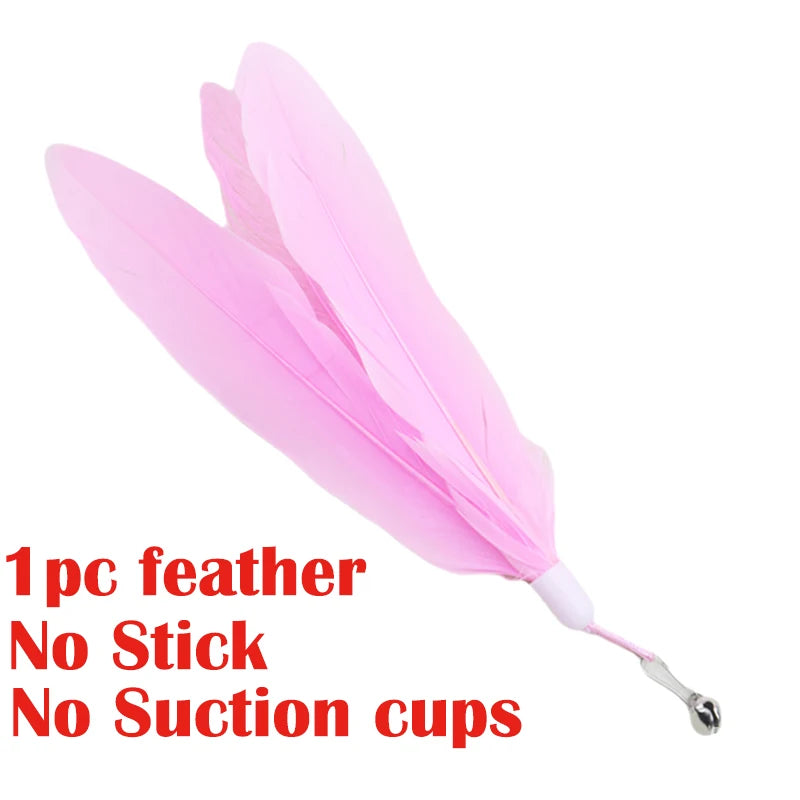 Interactive Cat Toy Handfree