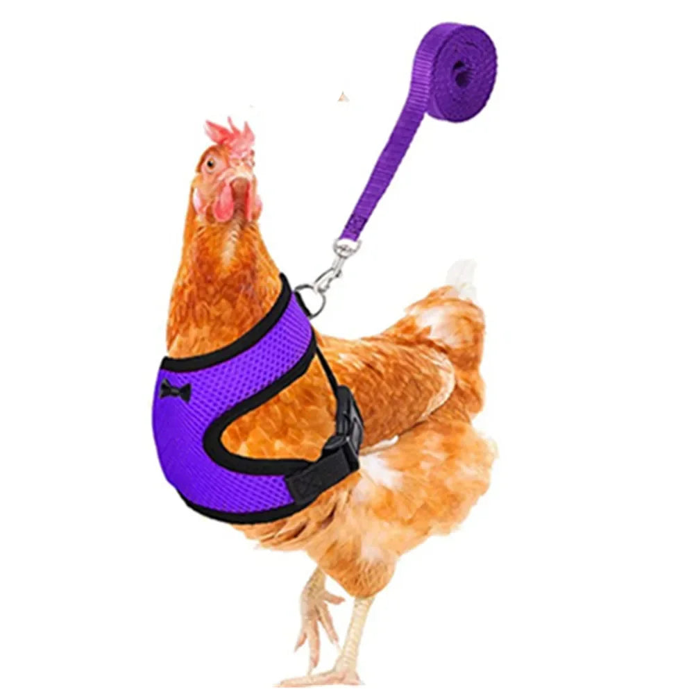 Fashion Chicken Duck Vest