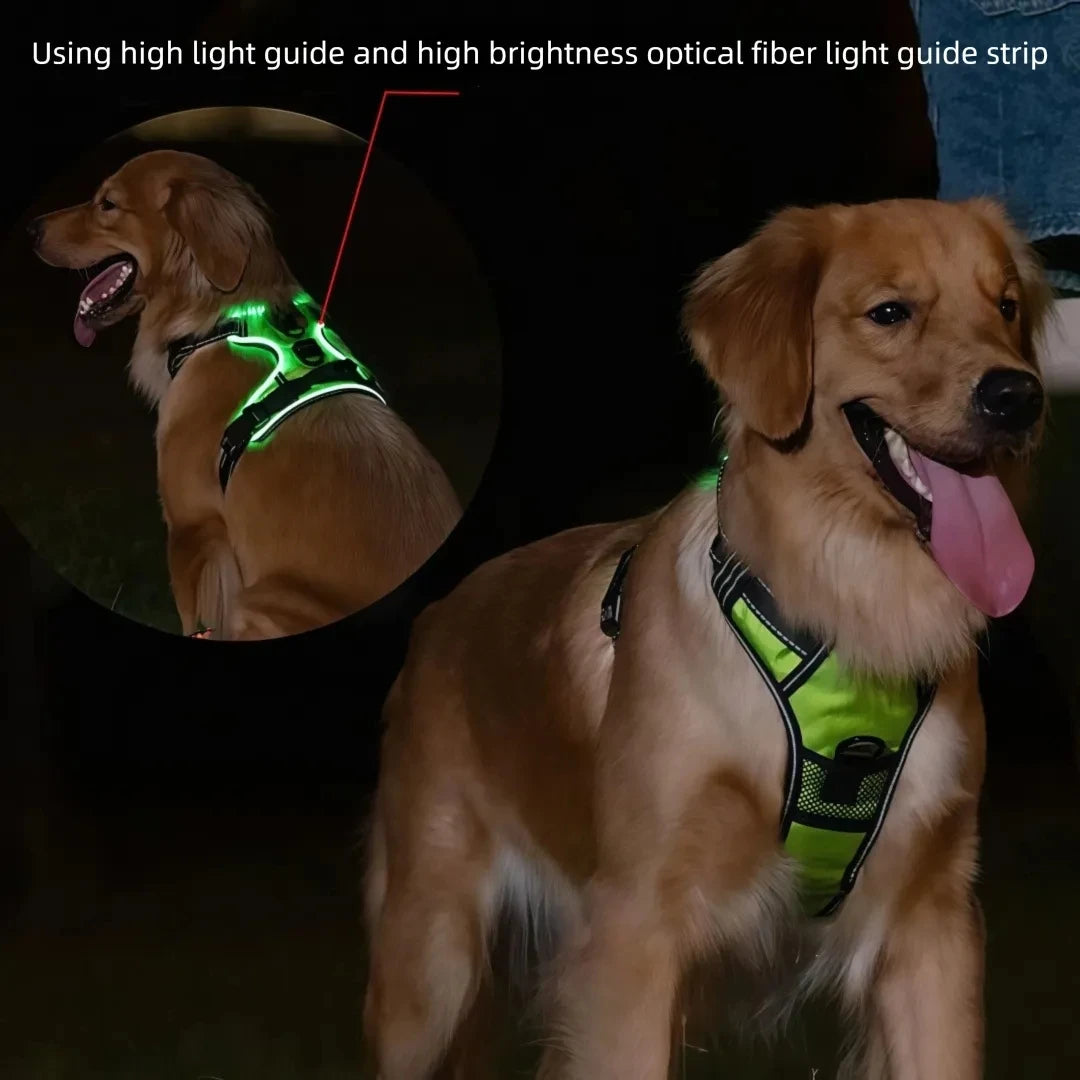LED Glowing Luminous Dog Harness Vest with Three Light Modes Rechargeable