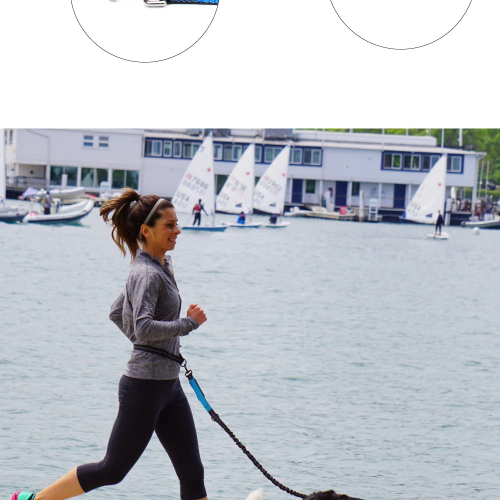 Hand Free Dog Leash for Pet Walking Running Jogging Adjustable