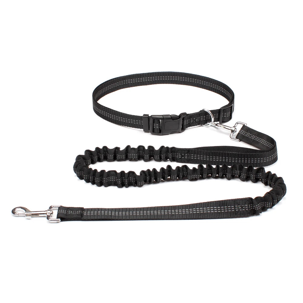 Hand Free Dog Leash for Pet Walking Running Jogging Adjustable