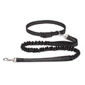 Hand Free Dog Leash for Pet Walking Running Jogging Adjustable