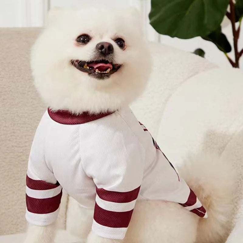 CALIFORNIA 27 Mesh Breathable Dog Jersey Basketball